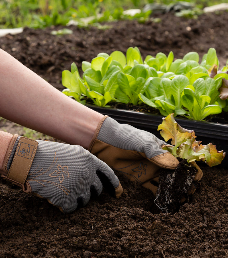 PF067 | Gants de jardin